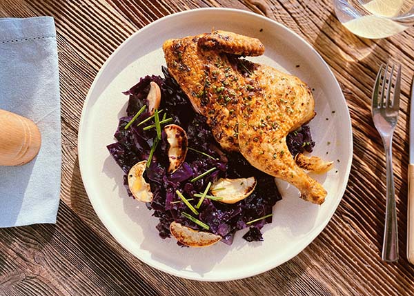 Grilled poulet with mild spices, red cabbage and apples