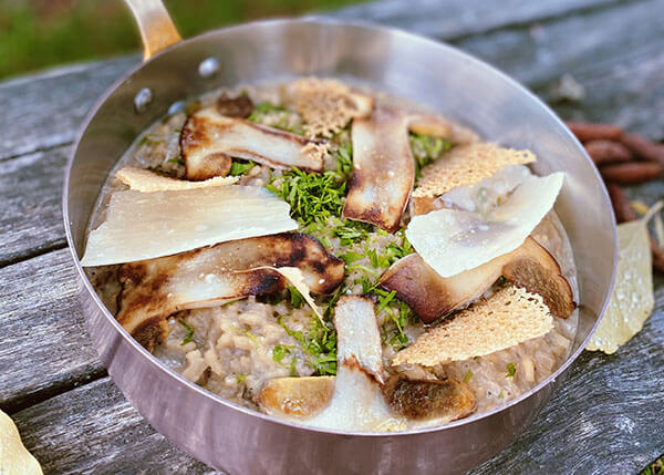 Porcini risotto