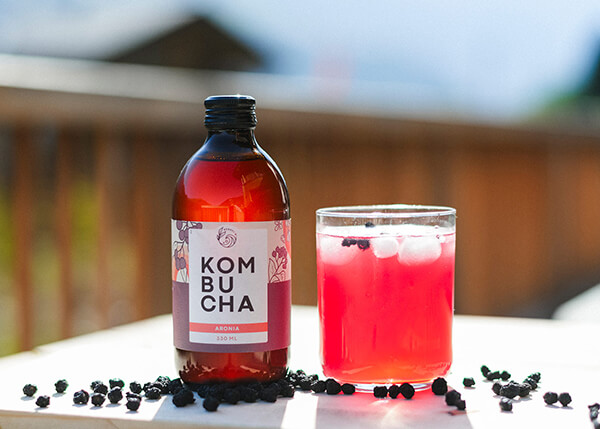 Kombucha Aronia Schweiz Bio